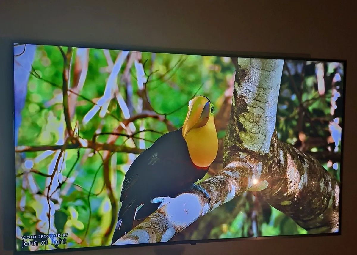 LG 65” 4K UHD Smart TV - Image 1