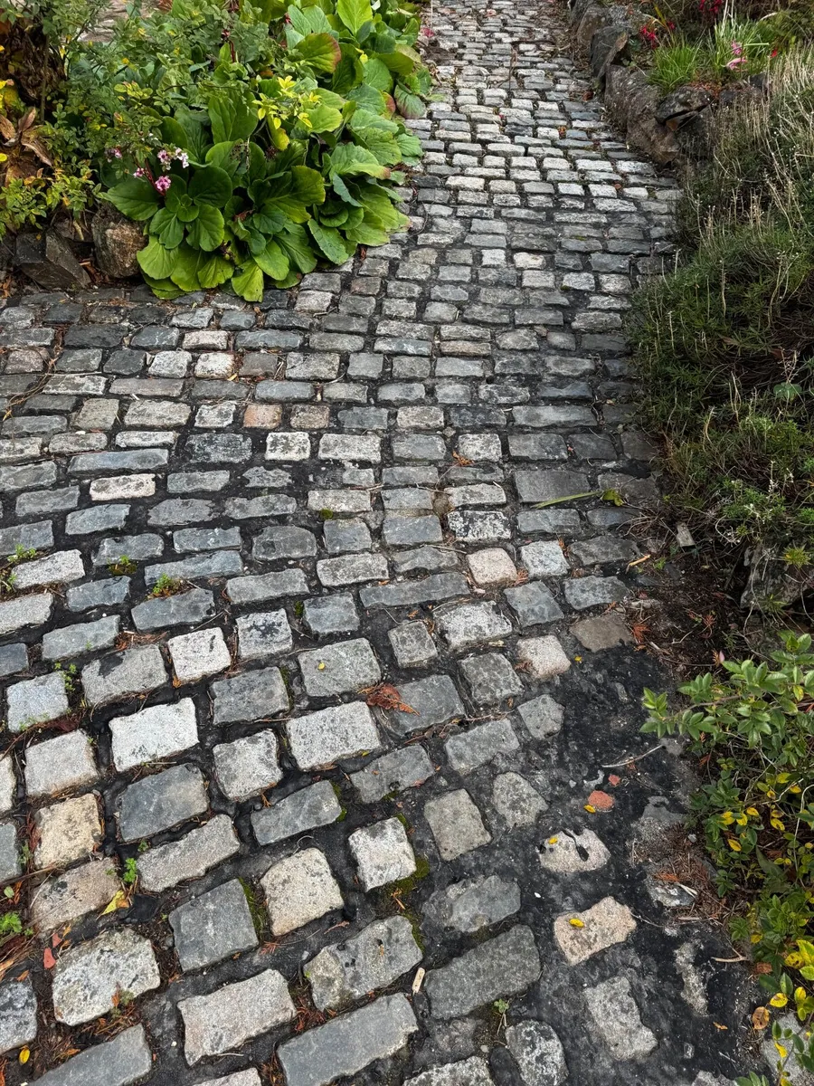 Cobblestone - Image 1