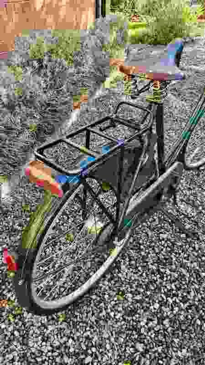 Pashley Princess Soverign Ladies Bicycle - Image 2