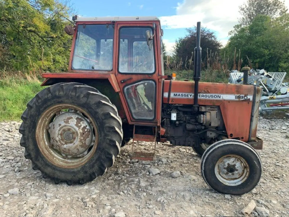 MF 290, 3 STICK, 12 SPEED - Image 3