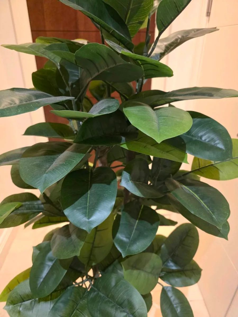 Artificial ficus 160cm - Image 2