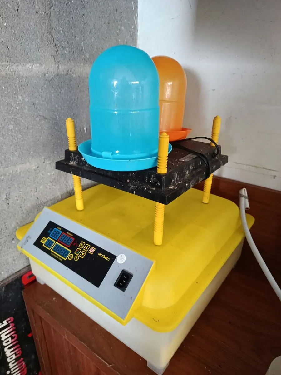 Poultry Incubator and Brooder. - Image 1