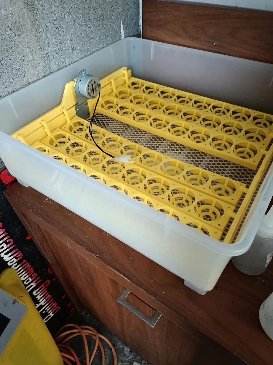 Poultry Incubator and Brooder. - Image 2