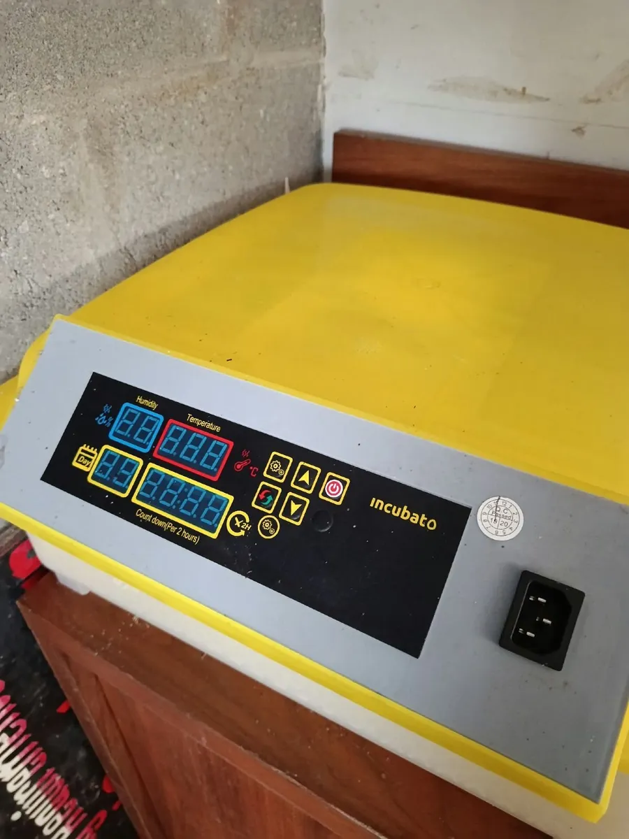 Poultry Incubator and Brooder. - Image 3