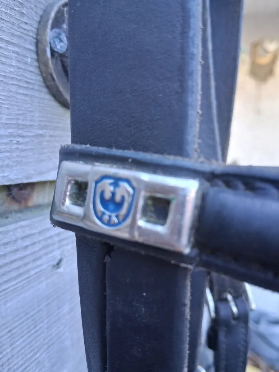 Stuben bridle.for sale - Image 2