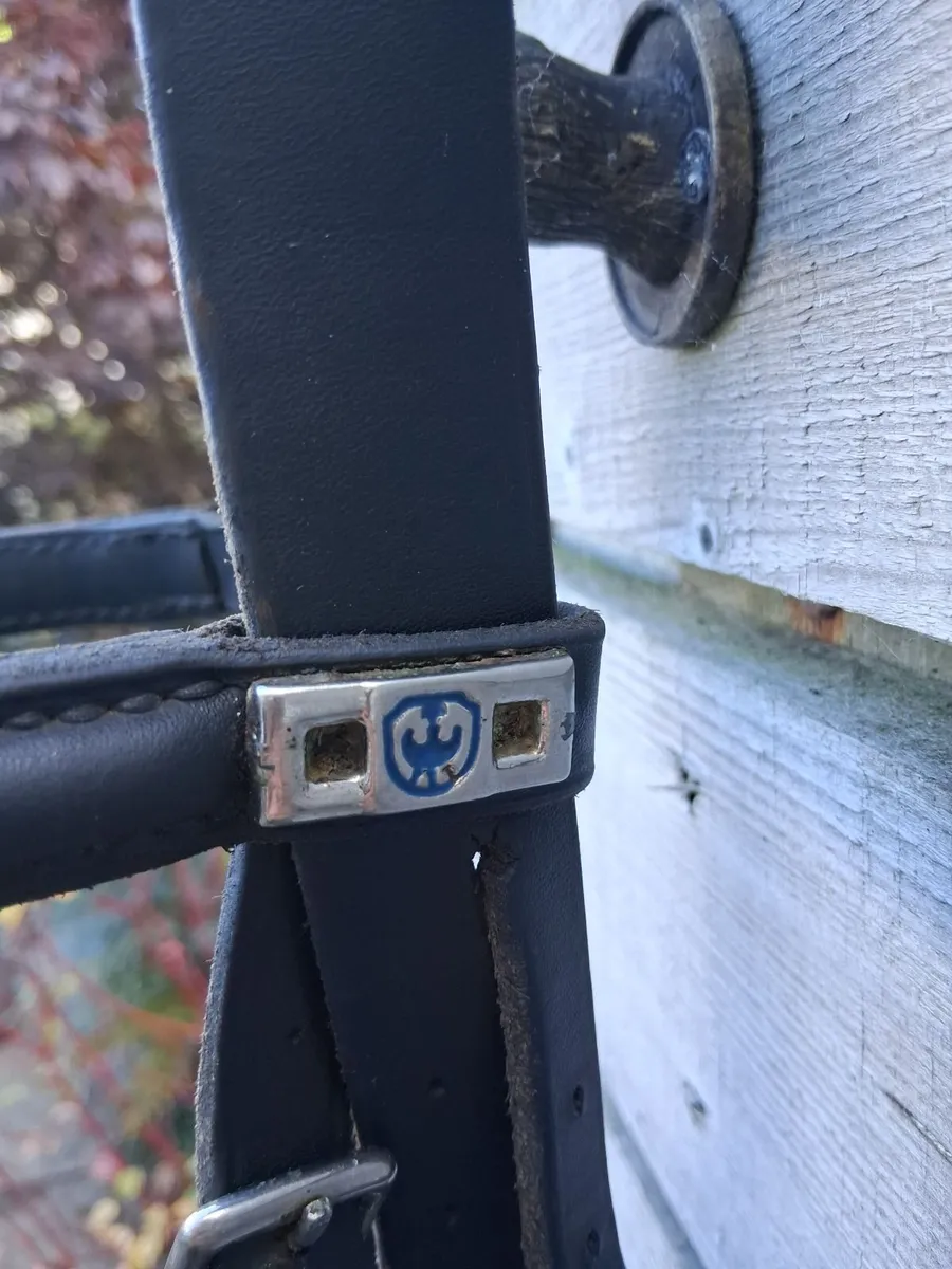 Stuben bridle.for sale - Image 3