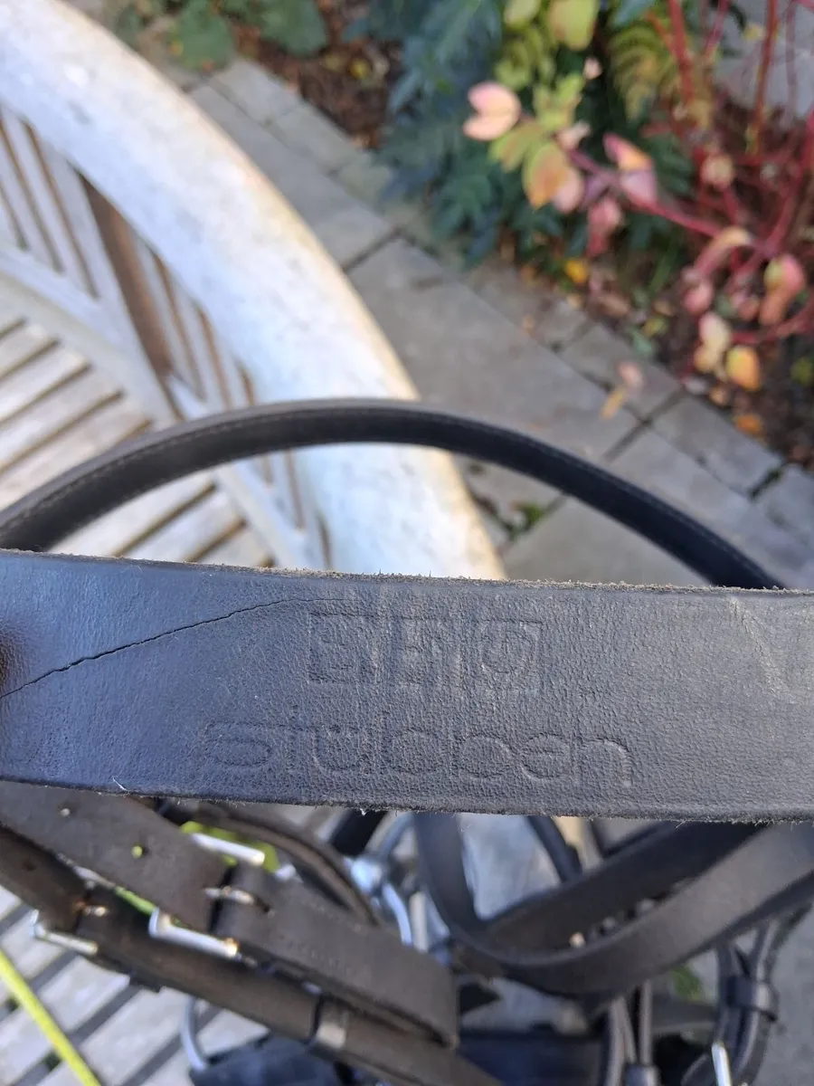 Stuben bridle.for sale - Image 4