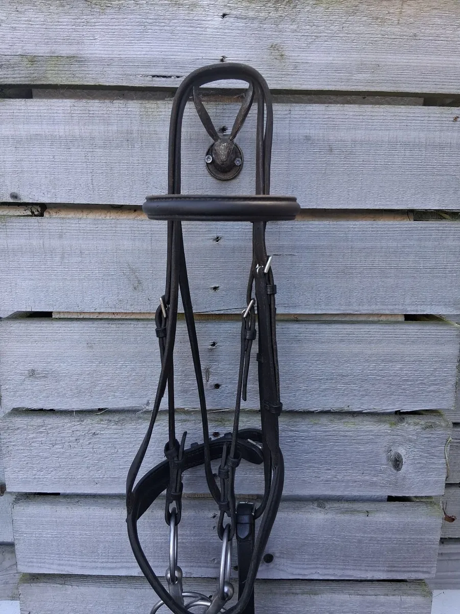 Stuben bridle.for sale - Image 1