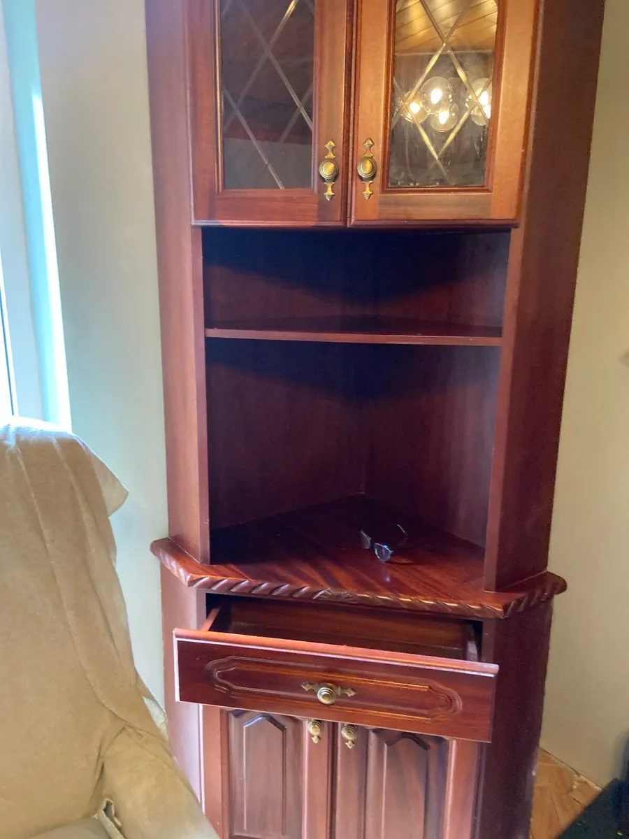 Mahogany Cabinet with light - Image 3