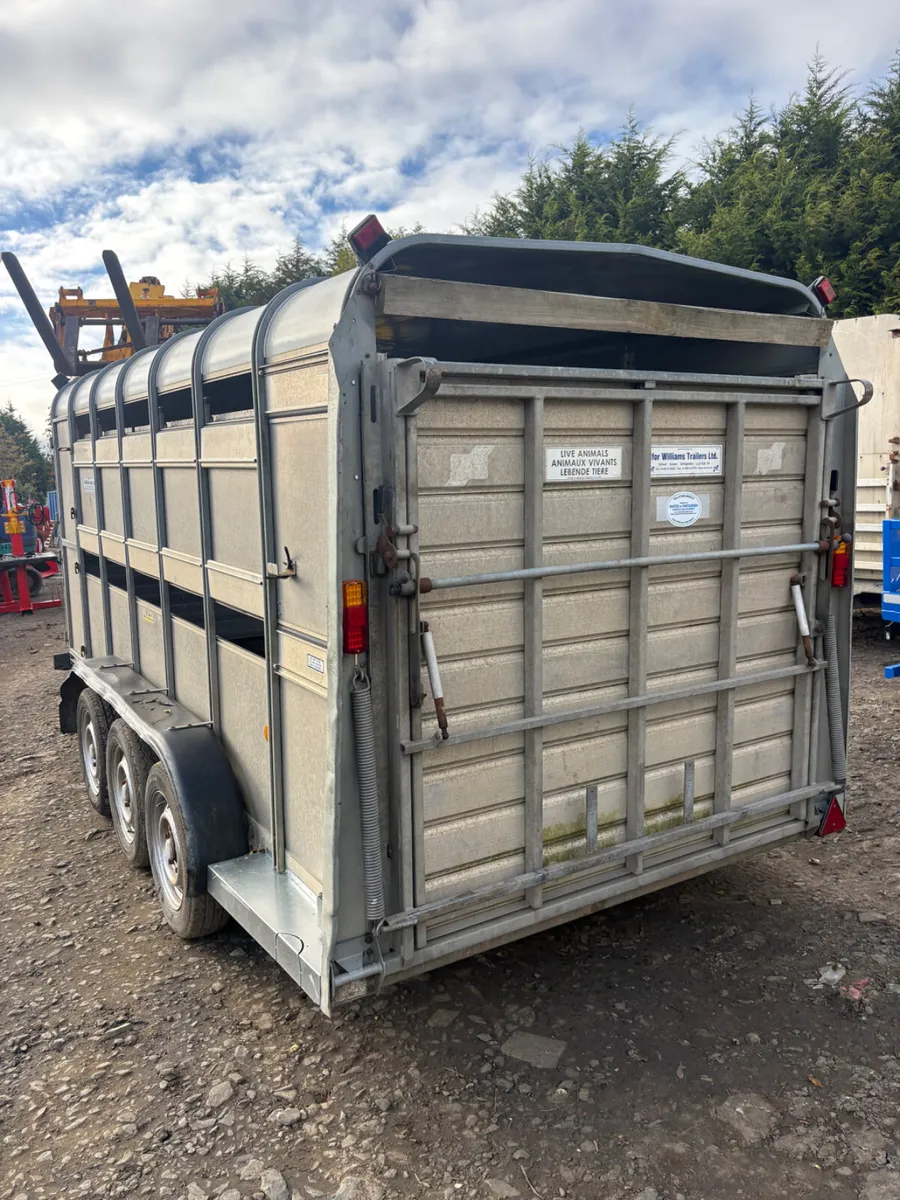 Ifor Williams 14ft cattle trailer - Image 2