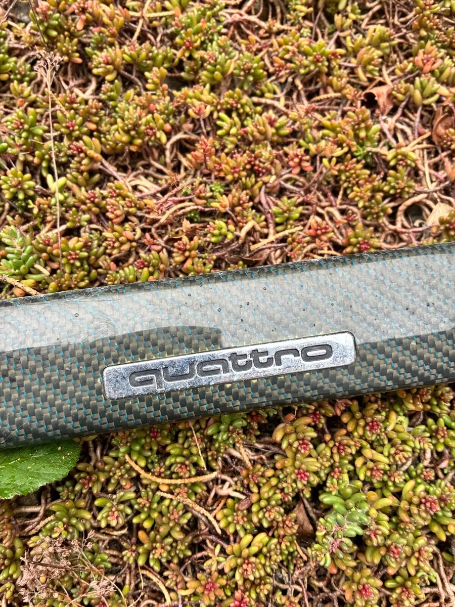 A4 b5 carbon trim - Image 2