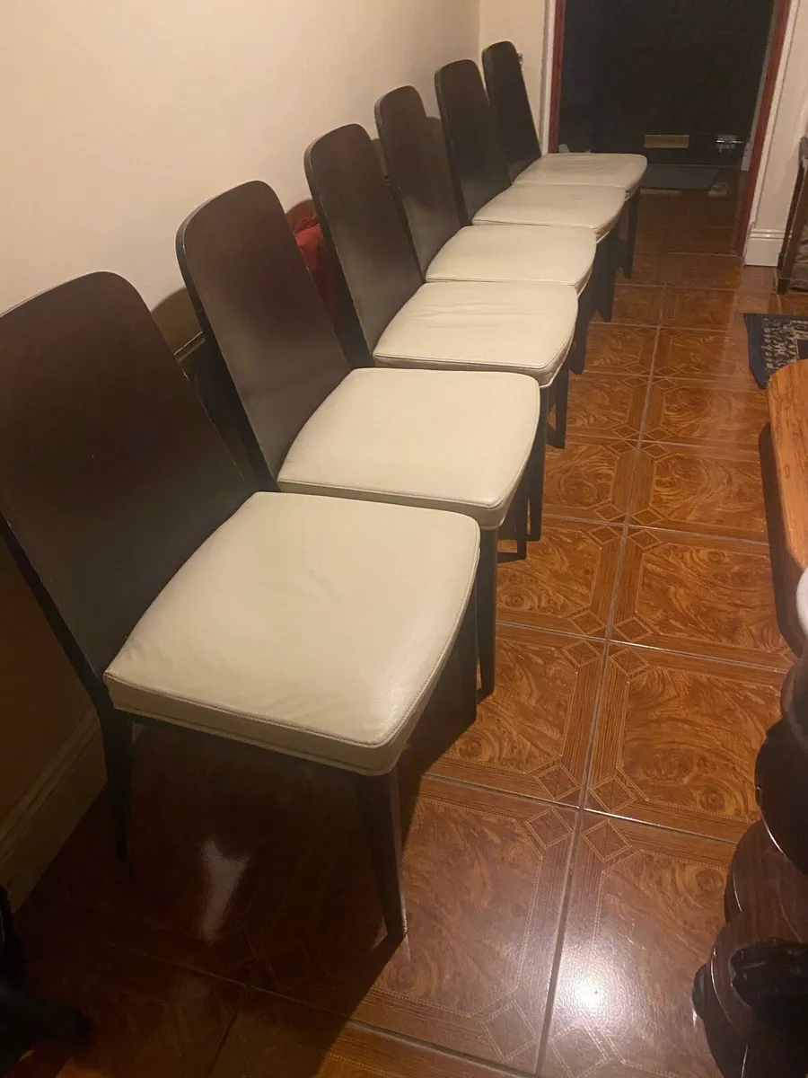 Dining chairs - Image 4