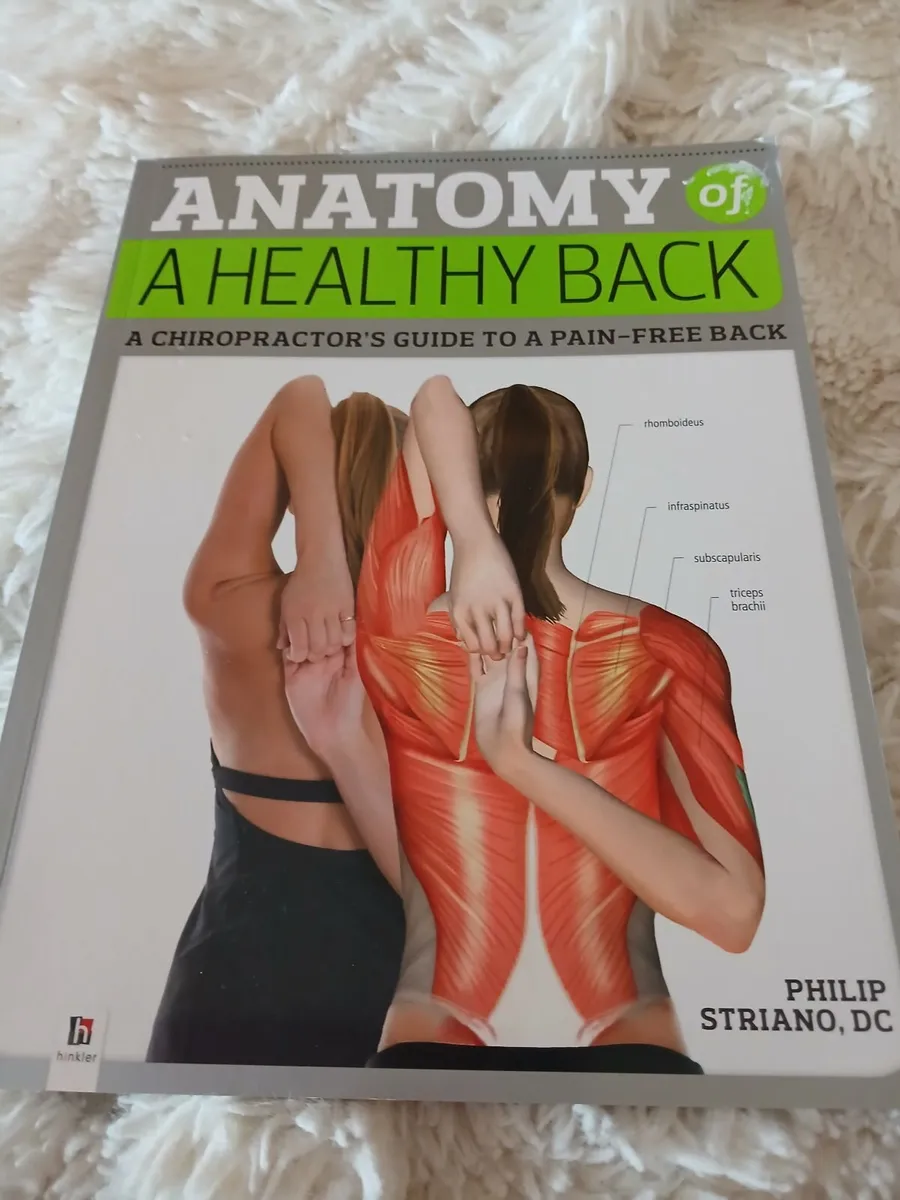Anatomy of Healthy Back - Image 1