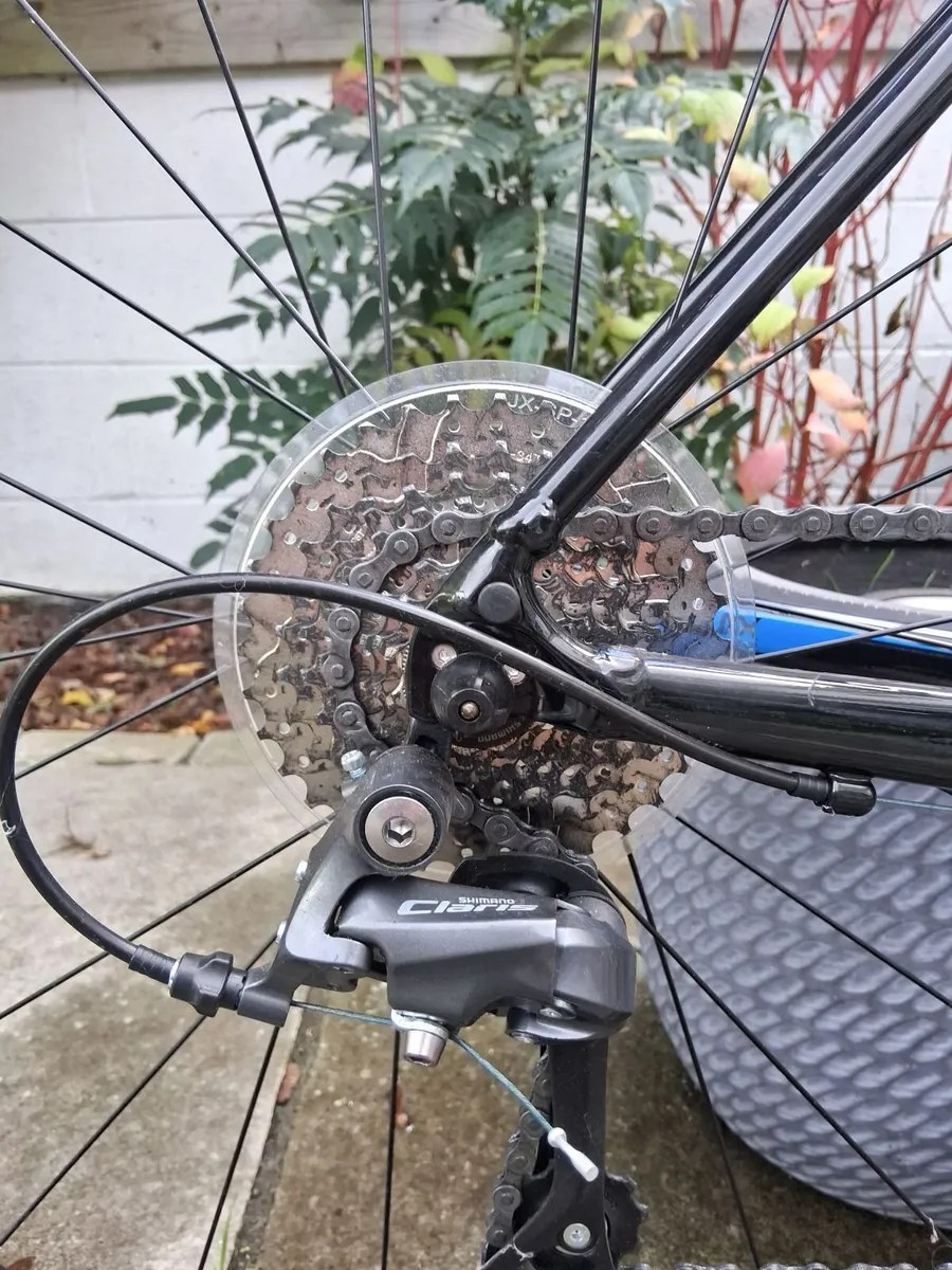 Bike - Image 3