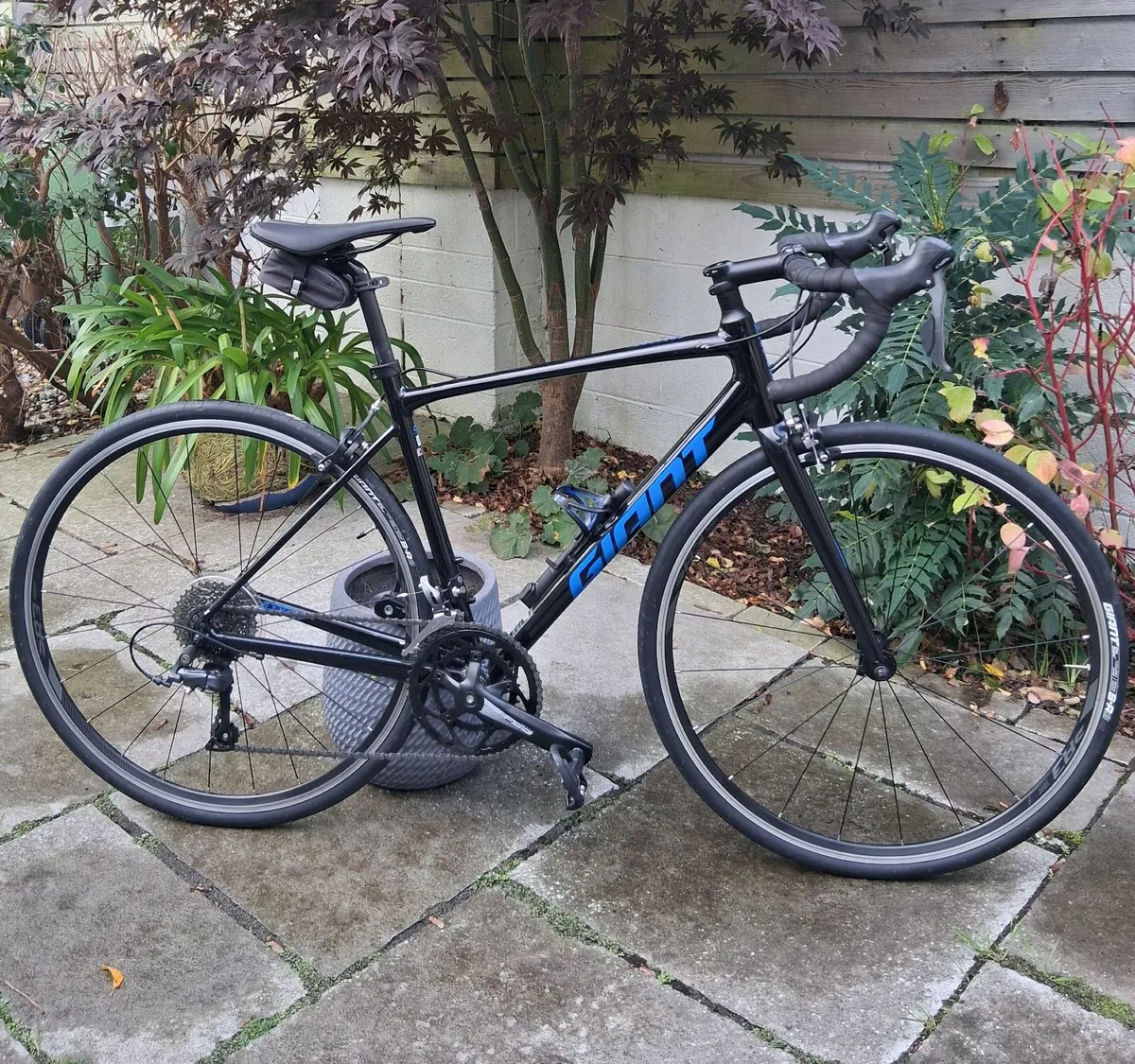 Bike - Image 4