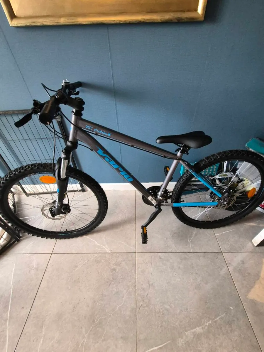 XC Diablo Vario Bike - Image 1