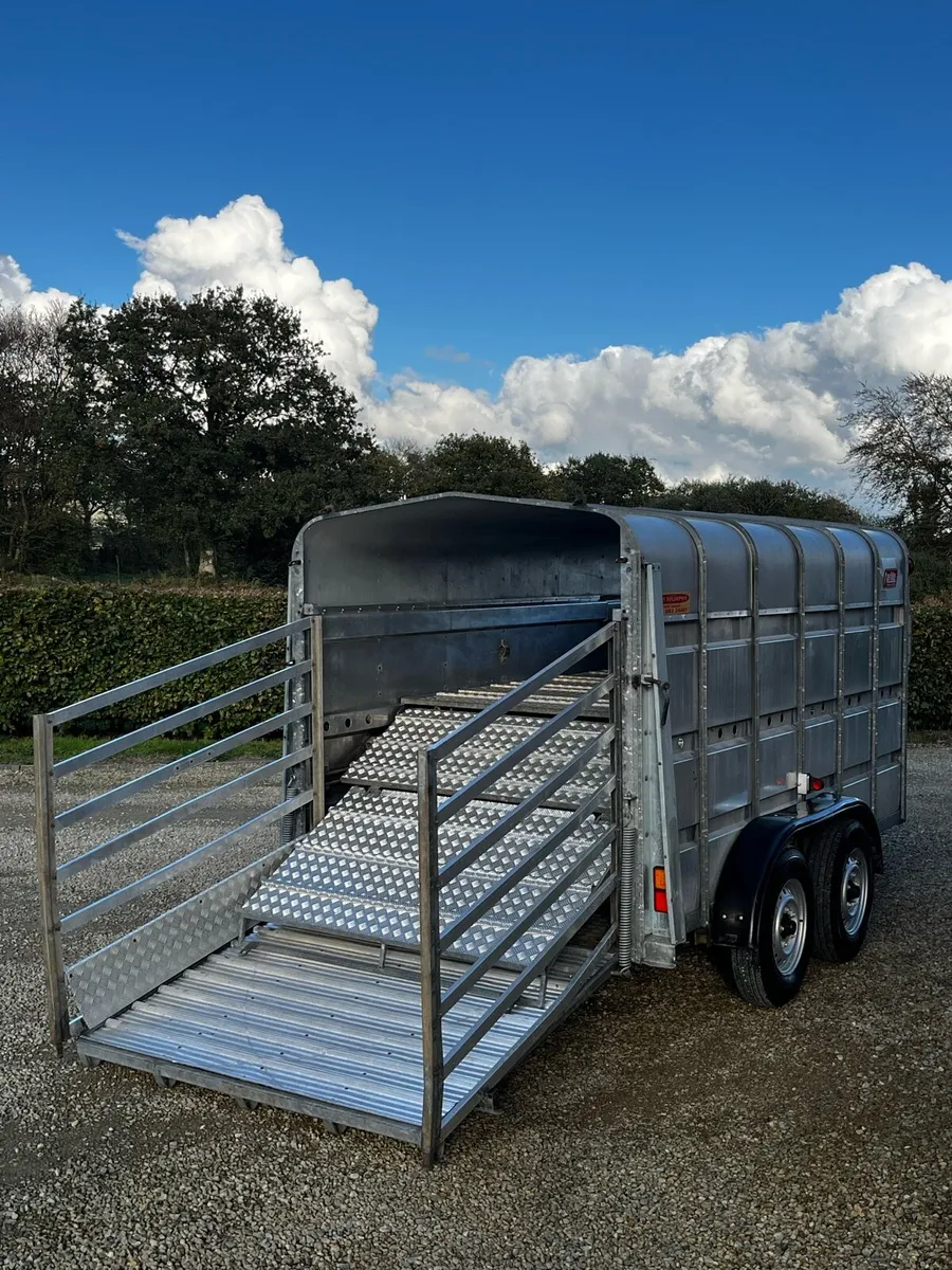 Aerlite 12x6 Livestock / Sheep Decks - Image 3