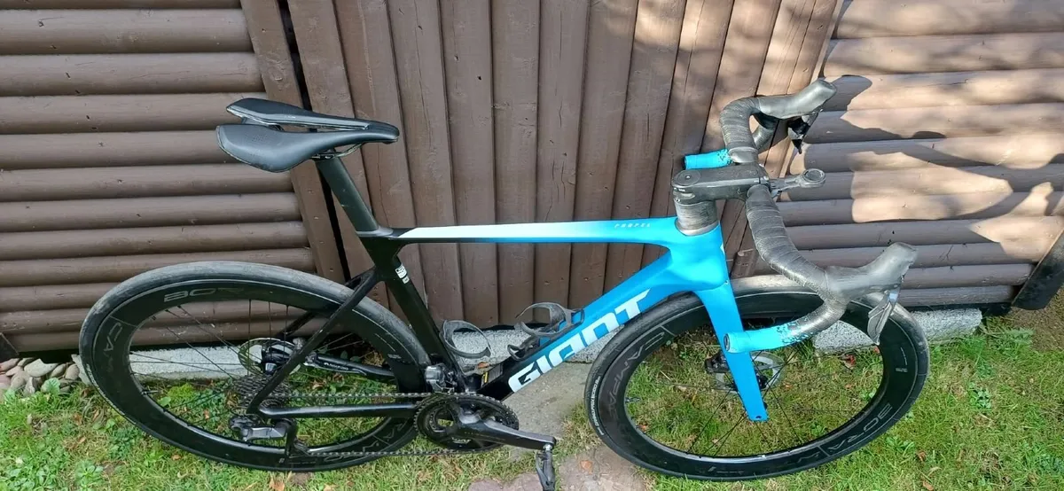 Giant Propel  Medium 2024 Campagnolo Bora wheels - Image 1
