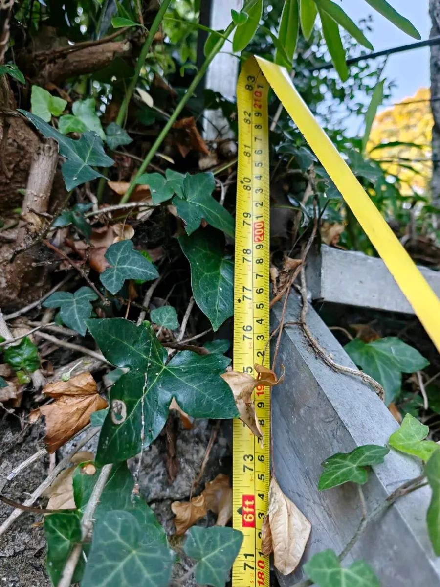 Site steps - Image 2