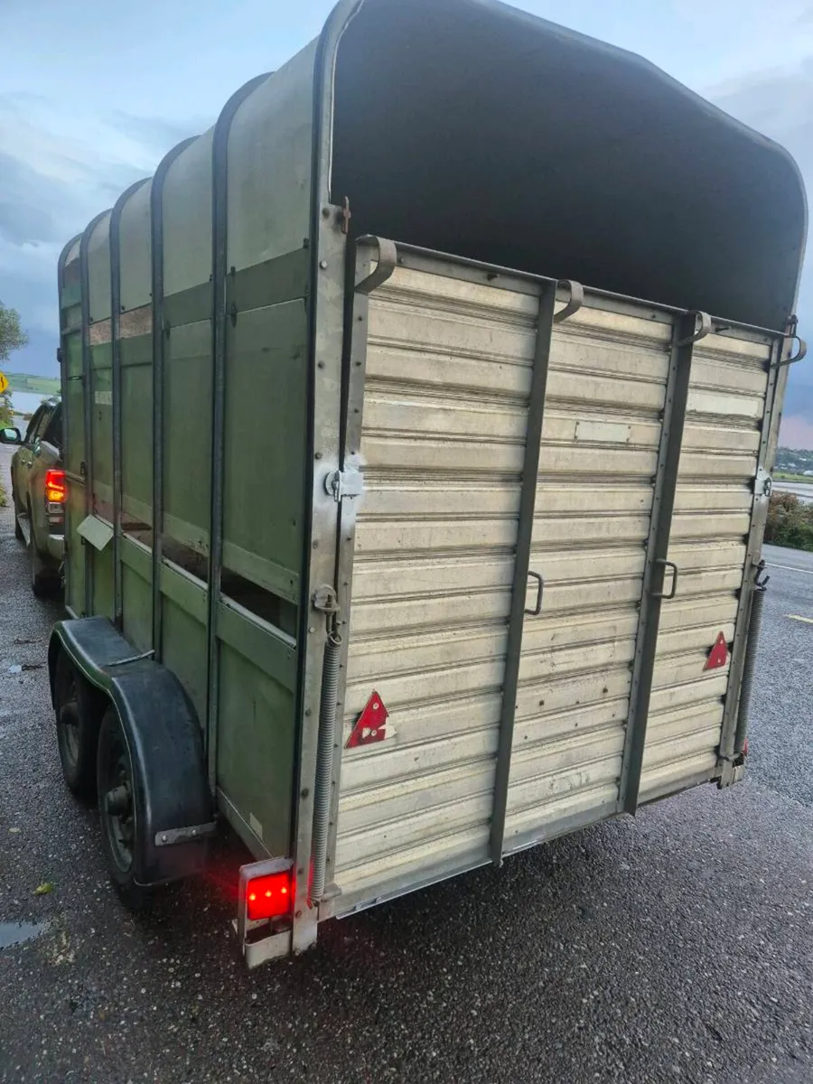 Ifor williams 10 x 6 high roof Horse/cattle - Image 4