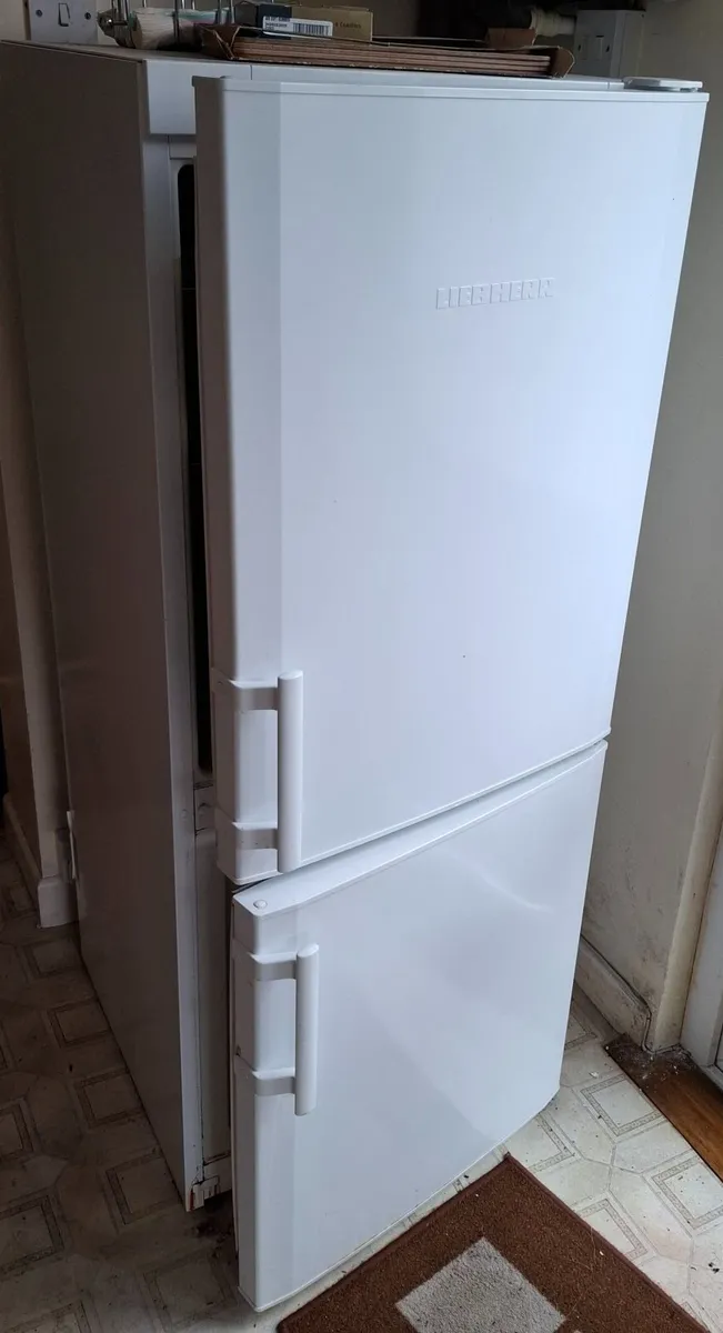 Fridge freezer - Image 1