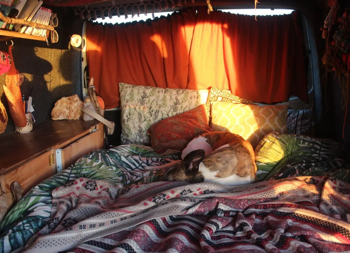 Volkswagen T5 Camper conversion - Image 2