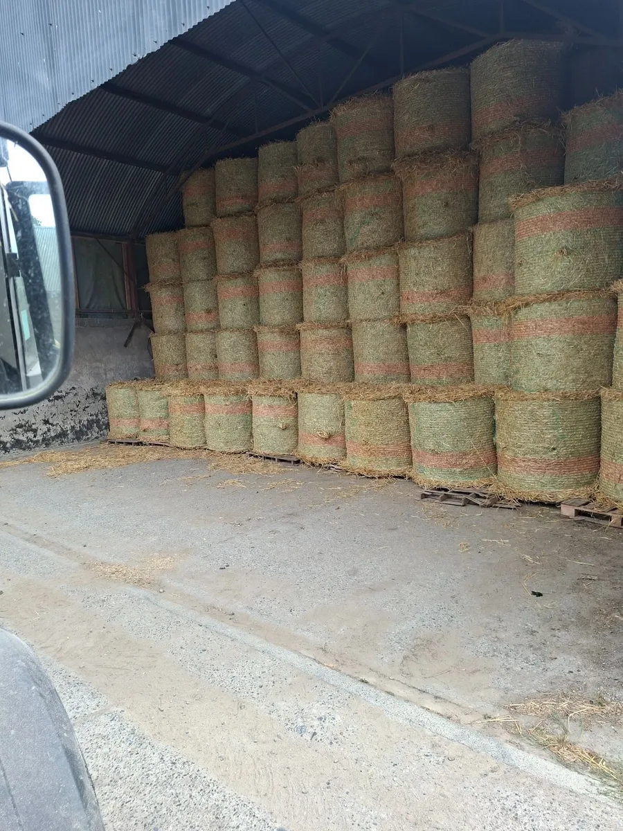 Rye straw - Image 1