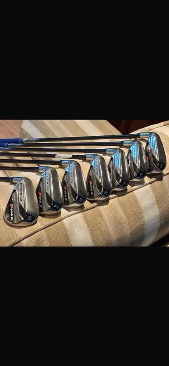 Golf Club - Image 1