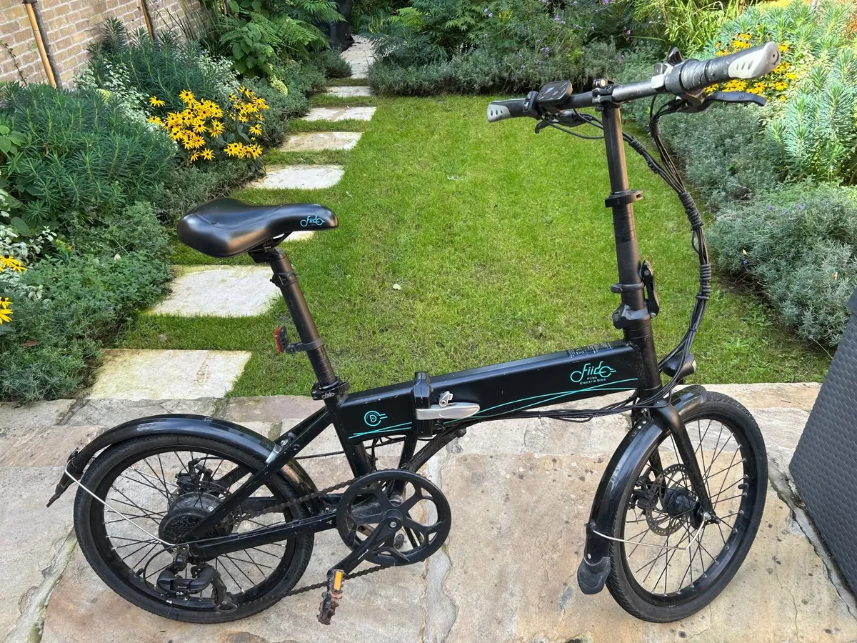 Fiido  D4S  Electric  Folding Bike - Image 1
