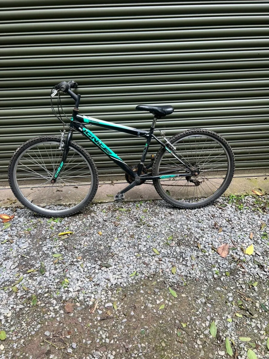 Bike - Image 1