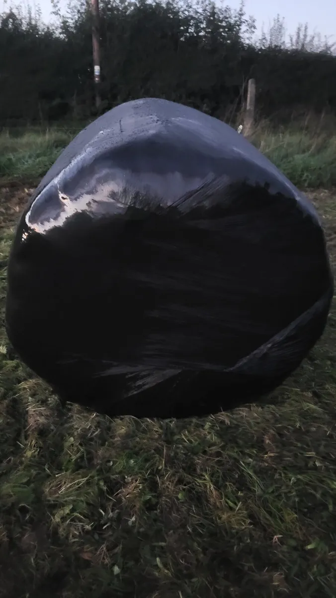 135 Round bales of silage - Image 1