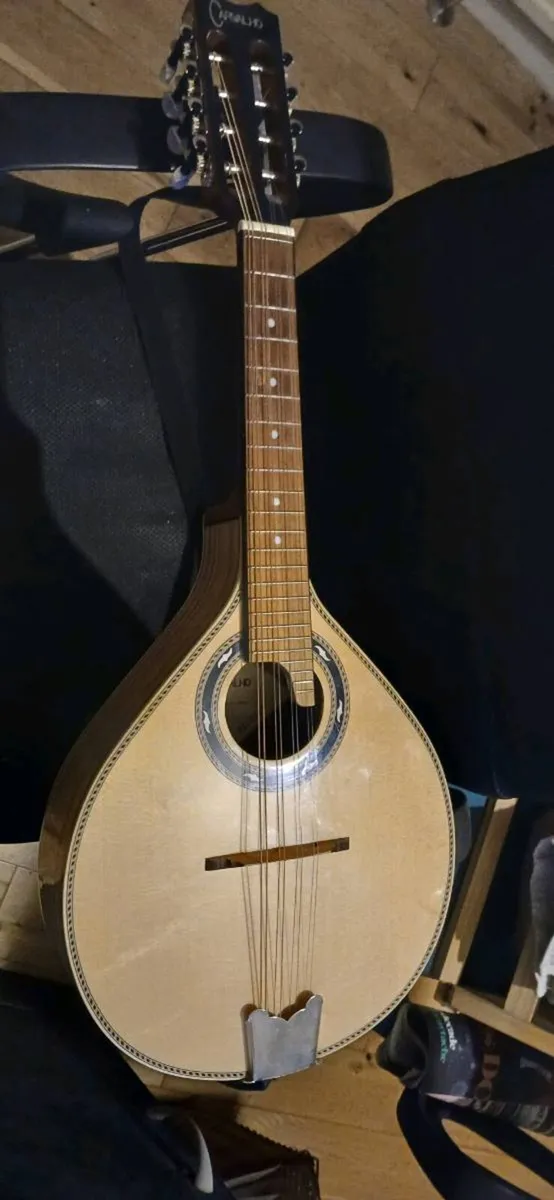Mandolin - Image 1