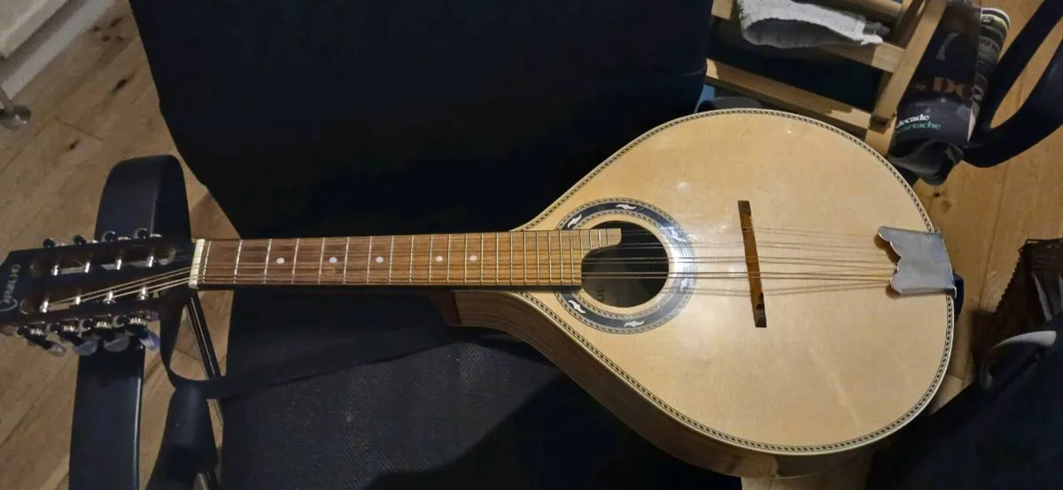 Mandolin - Image 3