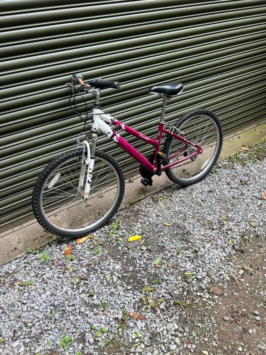 Bike - Image 2