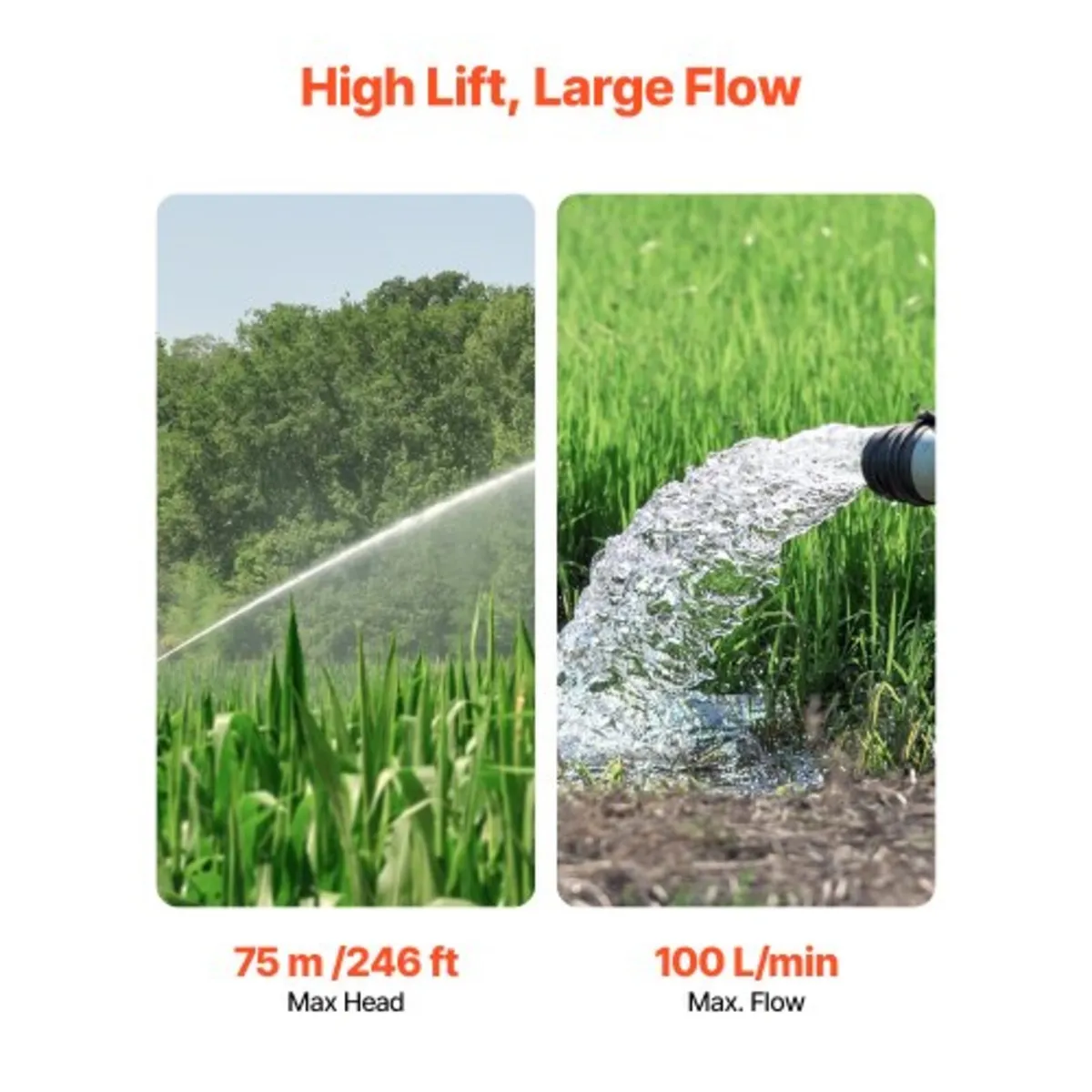 Deep Well Submersible Pump, 1100W Input Power, 230 - Image 2