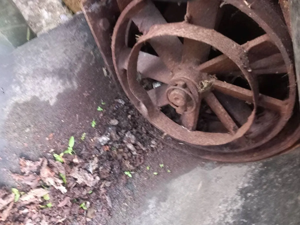 Tanco beet chopper self loading - Image 3