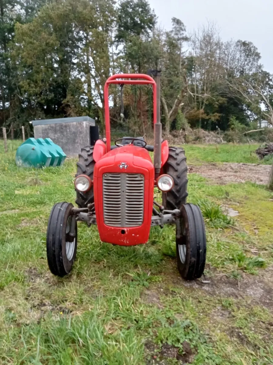 Massey Ferguson 35 1961 - Image 3