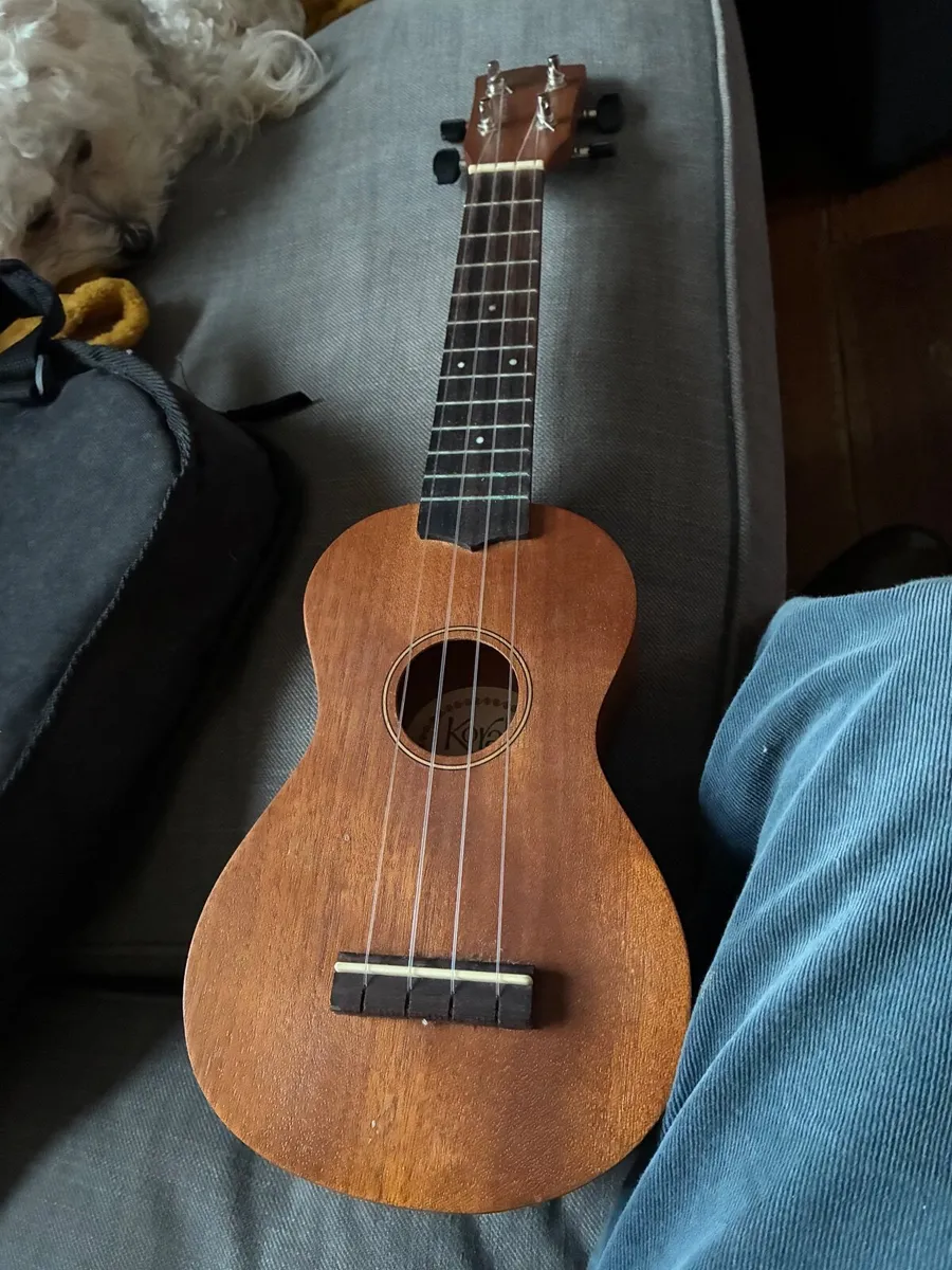 Ukulele with case - Image 1