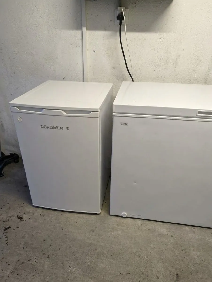 Fridge and chest freezer
