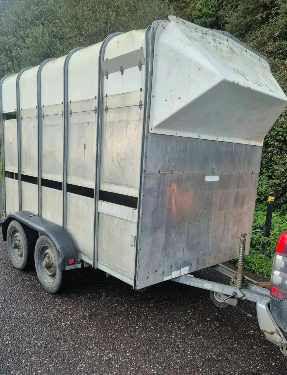 Ifor williams 10 x 6 high roof Horse/cattle - Image 1