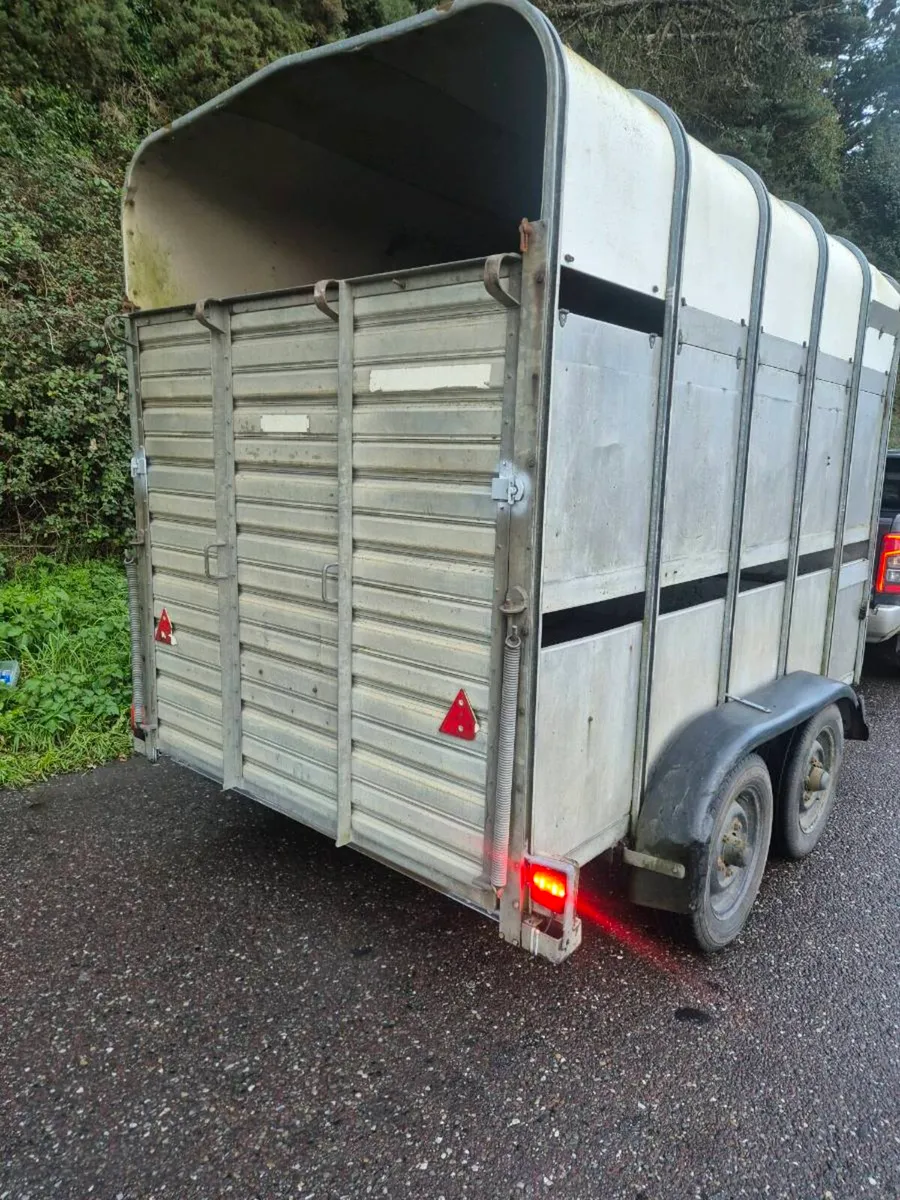 Ifor williams 10 x 6 high roof Horse/cattle - Image 2