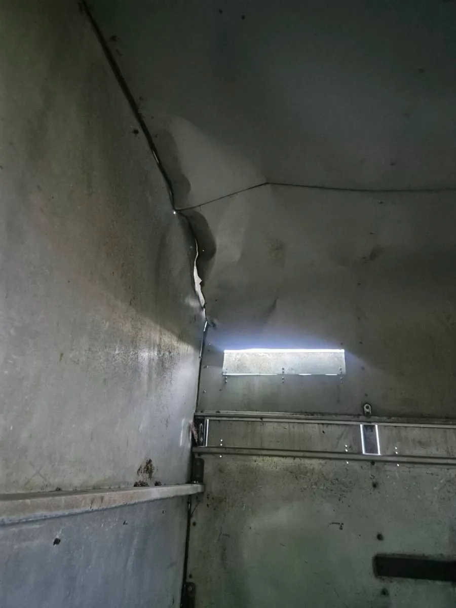 Ifor williams 10 x 6 high roof Horse/cattle - Image 3