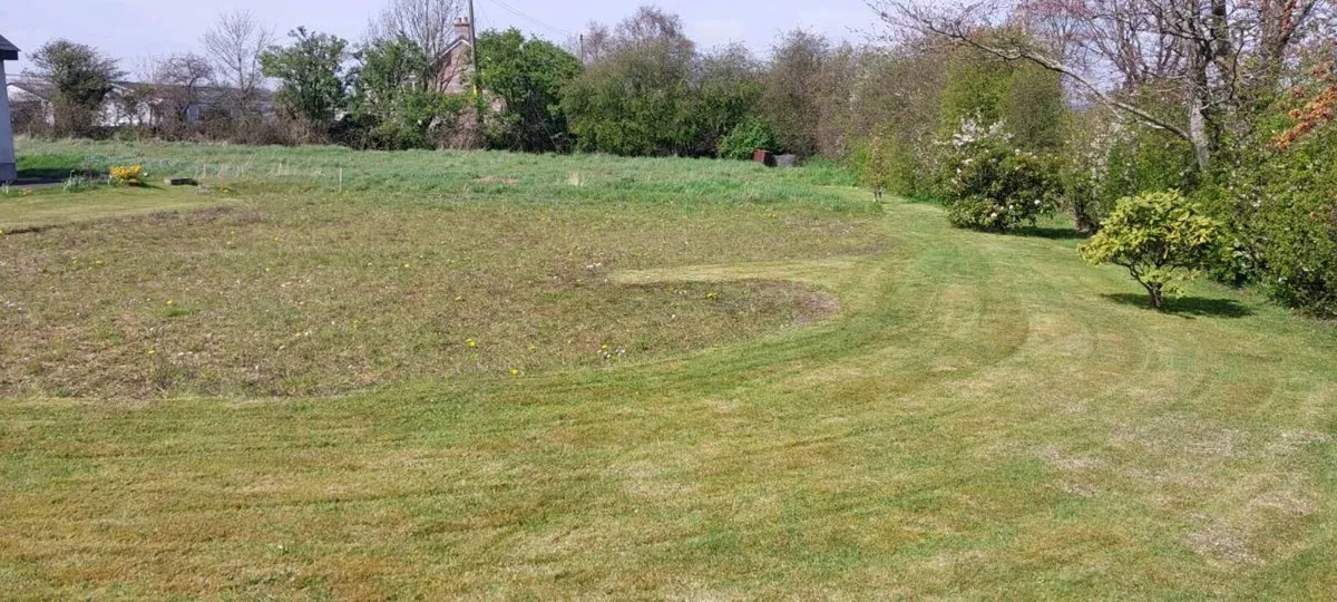 Wanted quality topsoil BT39 Co.Antrim  Doagh - Image 4