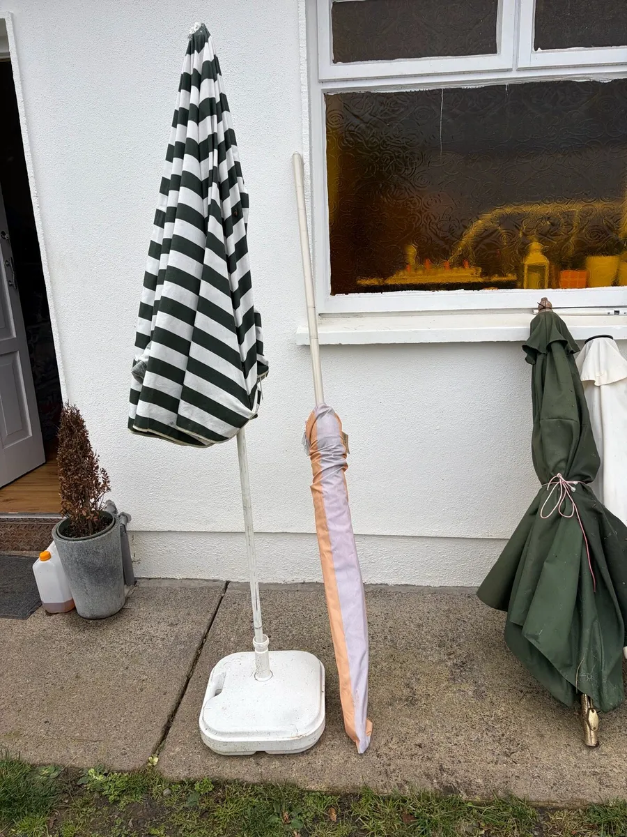 parasol - Image 4