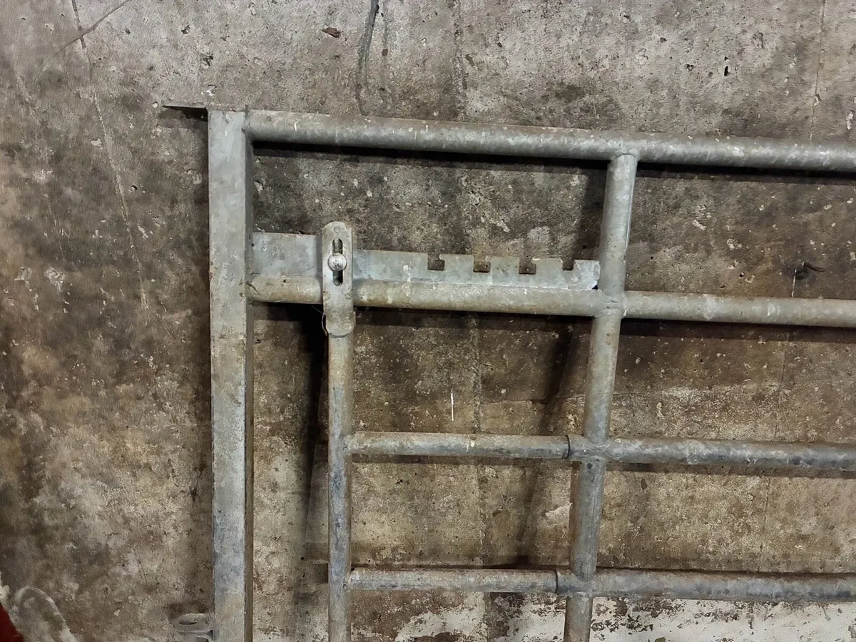 Creep Gates - Image 1