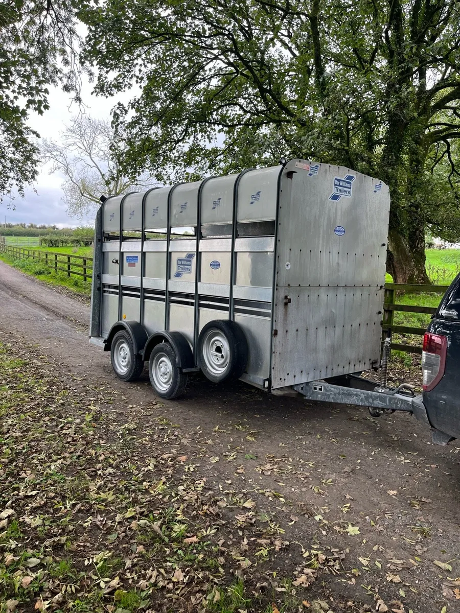 High roof trailer - Image 1