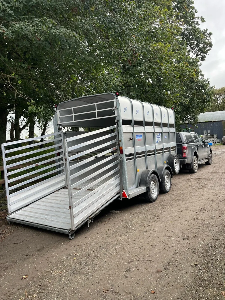 High roof trailer - Image 2