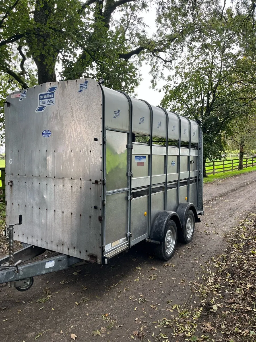 High roof trailer - Image 3