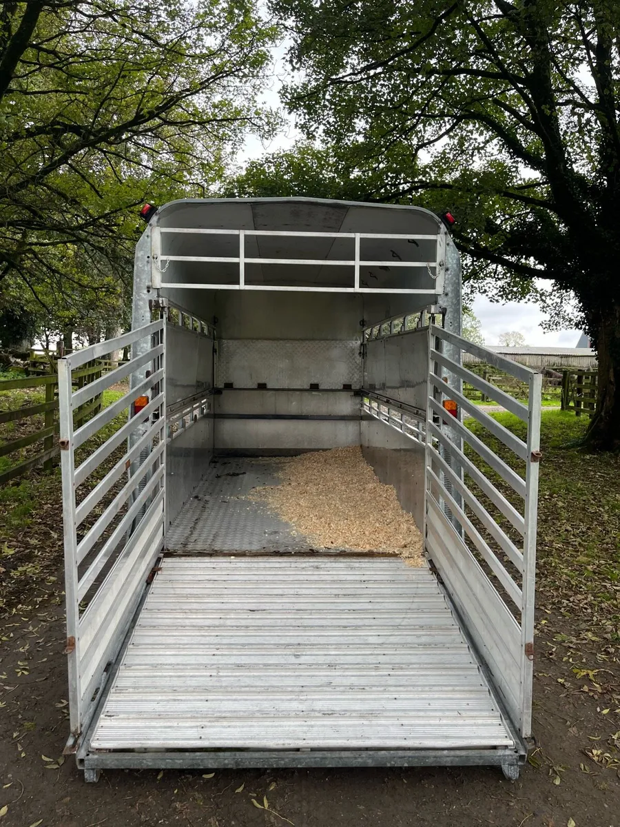 High roof trailer - Image 4