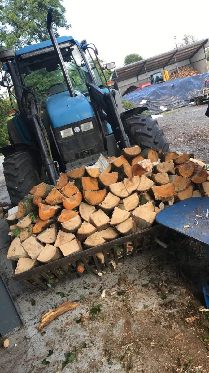 Hardwood firewood - Image 4